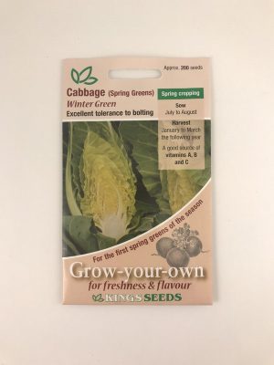 Cabbage Winter Green