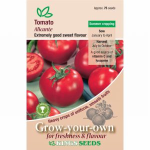 Tomato Alicante