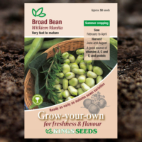 BROAD BEAN WITKIEM MANITA