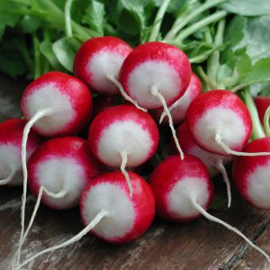 Radish Poloneza