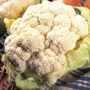 Cauliflower All the Year Round