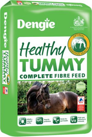 Dengie Healthy Tummy 20Kg