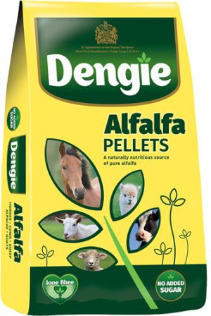 Dengie Alfalfa nuts