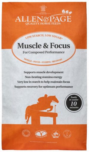 Muscle & Focus