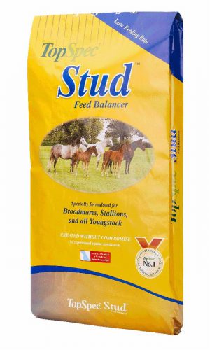 20kg Top Spec Stud Balancer