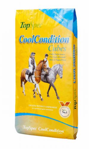20kg TopSpec Cool Condition Cubes