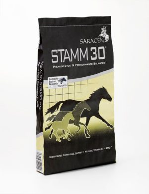 Stamm 30 Saracen