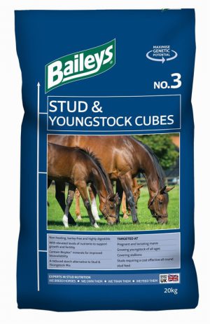 Baileys stud cubes No3