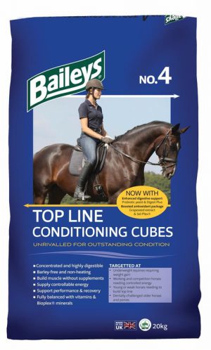 Baileys Condition Cubes No.4