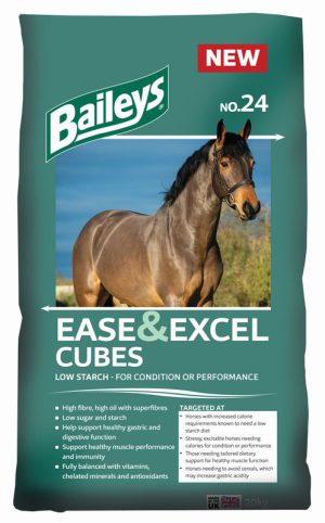 Ease and Excel Cubes No 24 Baileys