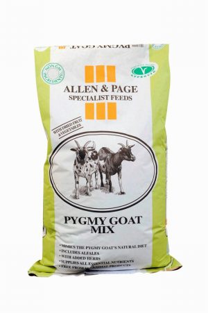 15kg Pygmy Goat Mix
