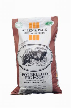 20kg Pot Bellied Pig