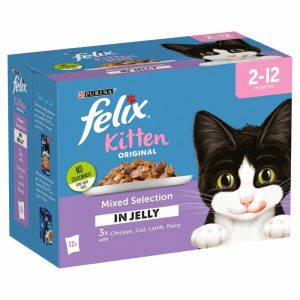 Felix pouch kitten mixed jelly 100g 12pack