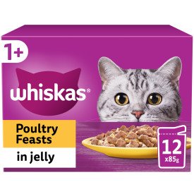WHISKAS 1+ POULTRY FEAST