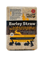 Barley Straw Pillow Wad Lge2kg