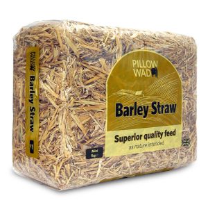 Pillow Wad Barley Straw Small
