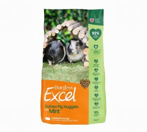 Excel Guinea Pig
