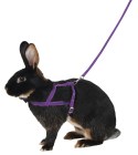 Shoulder Harness Agility with leash 2m, lila, size M