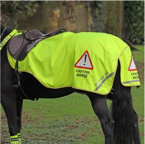 Equi-flector Waterproof Exercise Sheet Yellow
