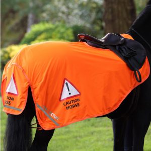 Equi-flector Mesh Exercise Sheet Orange