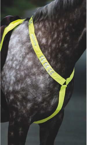 Equi-flector Breastplate Yellow