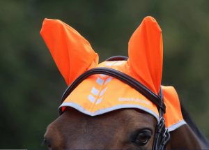 Equi-flector Fly Veil Orange