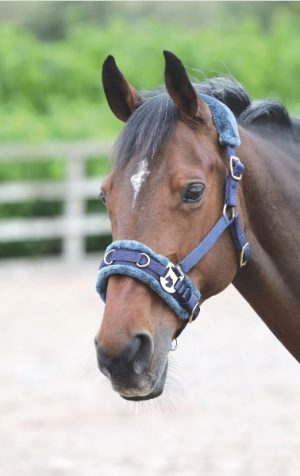 Fleece Lined Lunge Cavesson Navy