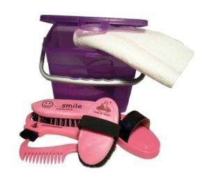 Haas Childrens Grooming Box