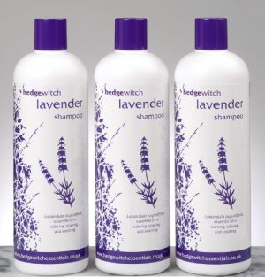 Hedgewitch natural lavender shampoo