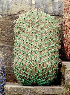 Elim A Net Cob Green