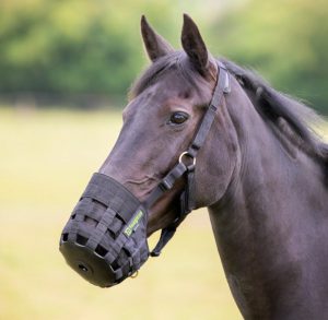 FreeGraze Comfort Grazing Muzzle