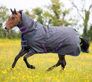 Tempest Original 300 Turnout Rug & Neck Set