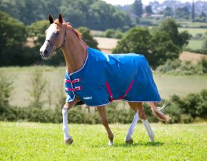 Tempest Original Lite Turnout Rug