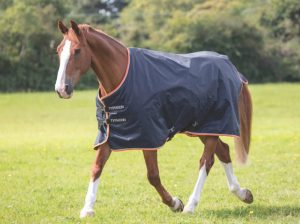 Typhoon 200 Turnout Rug