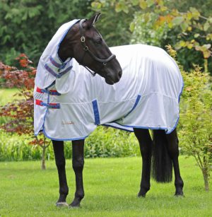 Tempest Original Fly Combo Rug