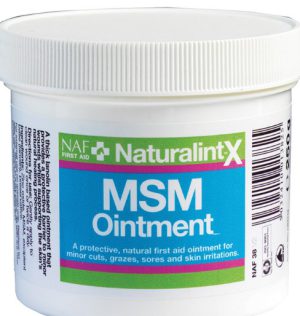 NAF NATURALINTX MSM OINTMENT 250g