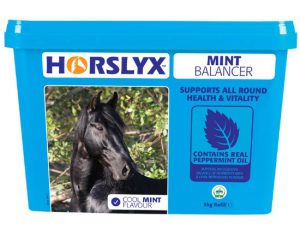 HORSLYX MINT BALANCER LICK 5kg