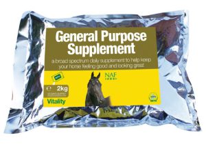 NAF GEN PURP SMENT REFILL 2kg