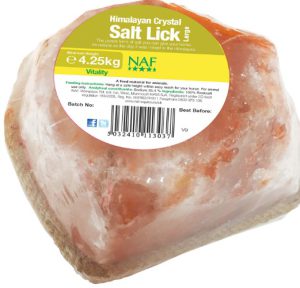NAF HIMALAYAN SALT LICK LARGE 4.25kg