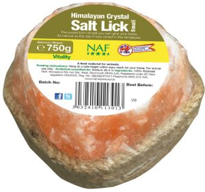 NAF HIMALAYAN SALT LICK SMALL 750g