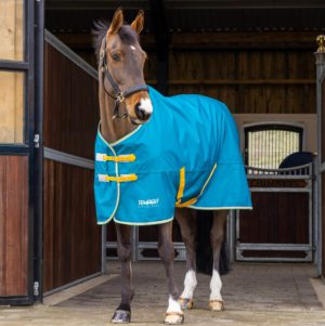 Tempest Original 50 Turnout Rug