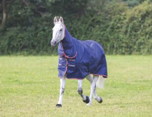 Typhoon 100 Combo Turnout Rug