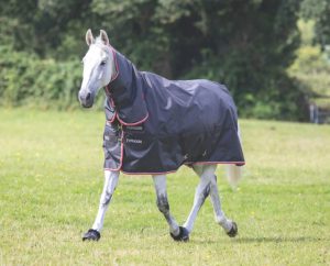 Typhoon 200 Combo Turnout Rug