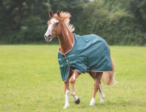Typhoon Lite Turnout Rug