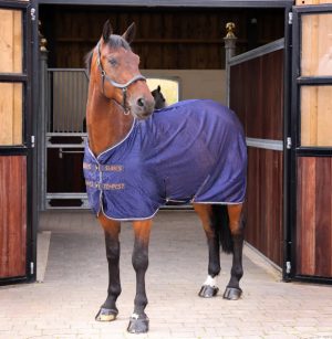 Tempest Original Mesh Cooler Rug