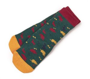 Tikaboo Long Socks Dinosaur
