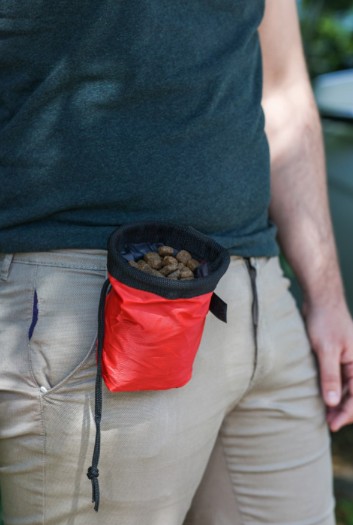 Trainer Feeding Bag