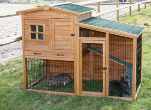 Small Animal Pen Fortuna