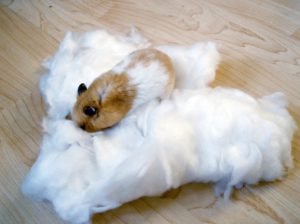 Hamster Bedding